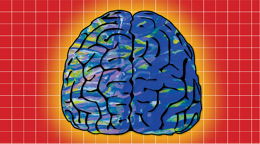Whole Brain Creativity and Neuroplasticity